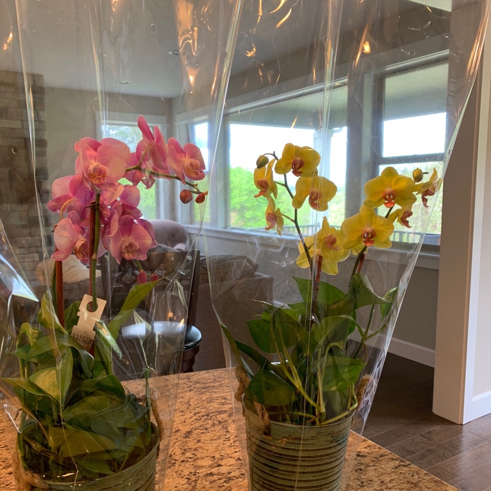 Meet your Posher, Kerry